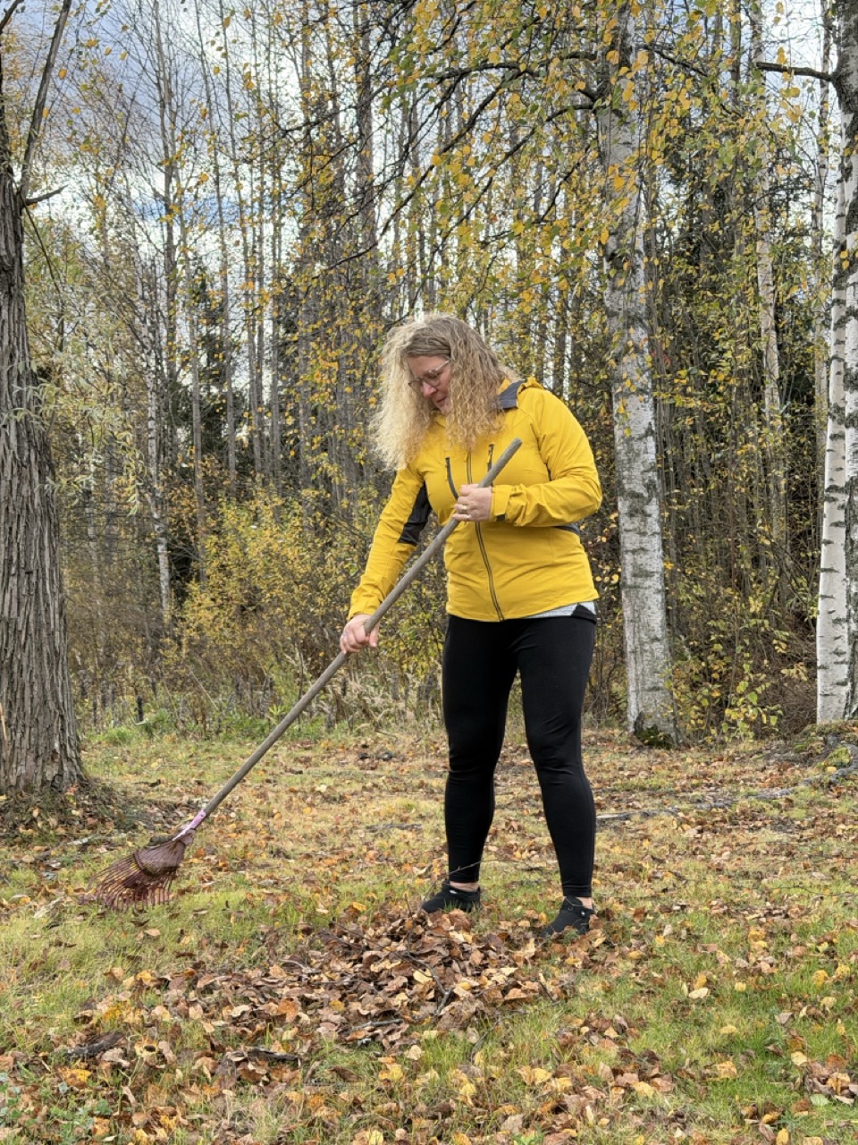 Pihatyöt: haravointia pihalla